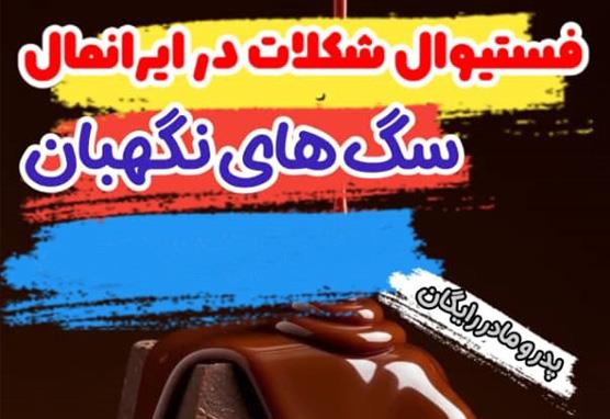 فستیوال شکلات پارتی